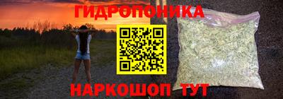 apvp Гусь-Хрустальный