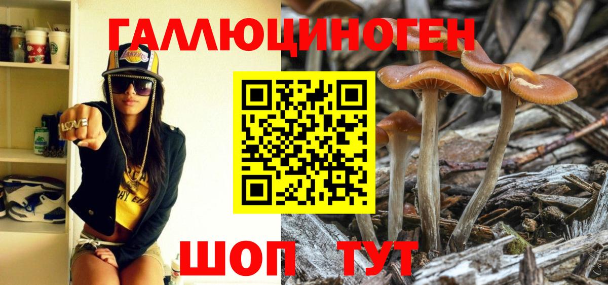 Псилоцибиновые грибы MAGIC MUSHROOMS  Вход с VPN  Минусинск 